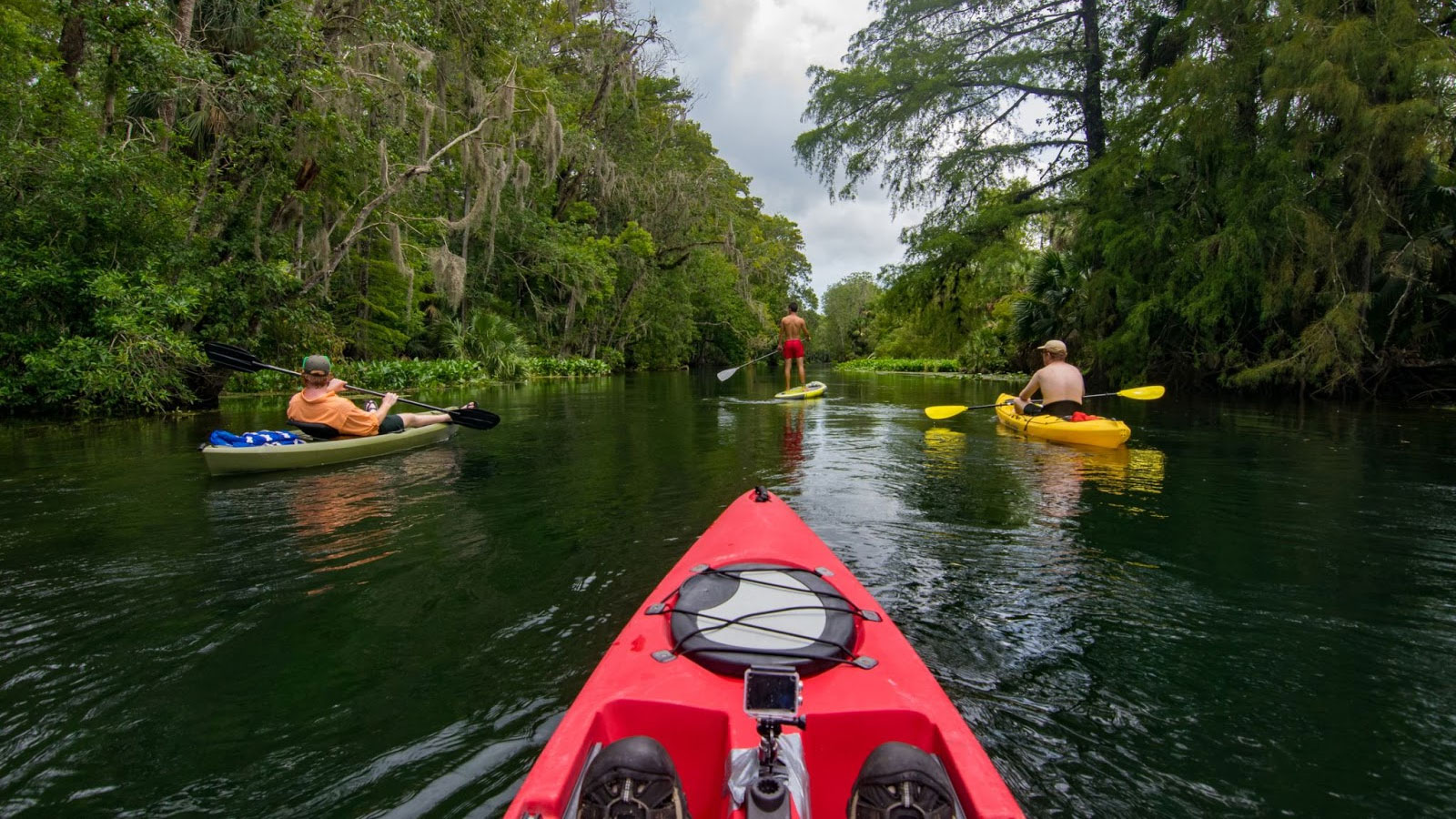 People kayaking and paddle boarding.